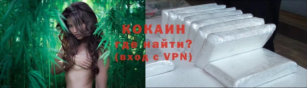 Альфа ПВП Няндома