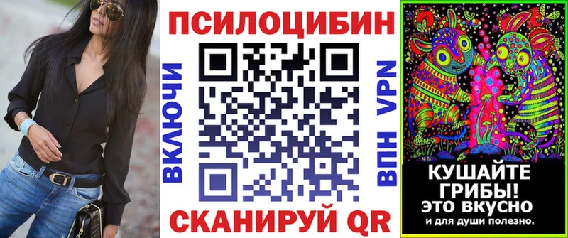 закладка  Светлый  Псилоцибиновые грибы Magic Shrooms 